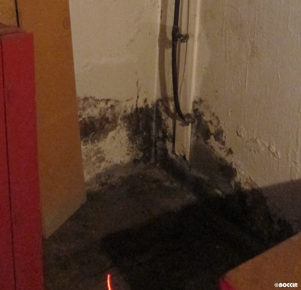 What Should Homebuyers Look for in a Basement