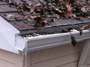 clogged gutter