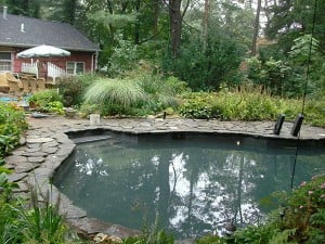 Pool area stone